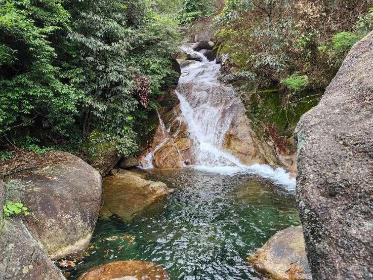 轩辕大帝:黄帝成为了百族的首领,炎帝就在下面,默默看着-生物科学百科问答